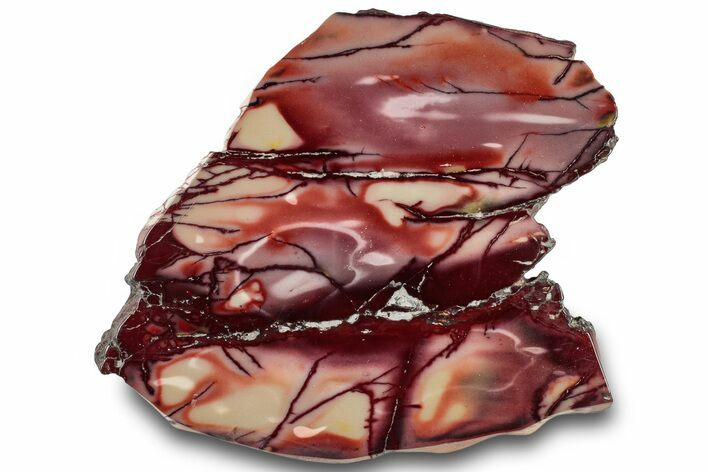 Vibrant Polished Mookaite Jasper Slice - Australia #314286